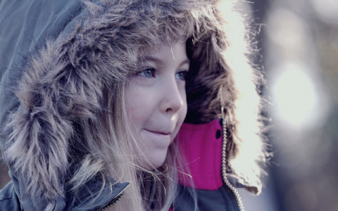 Пензенцам объяснили потепление климата в России и рассказали о всплесках температуры