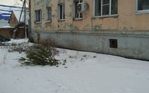 "Пошла": пензенец запустил елку в опасный полет