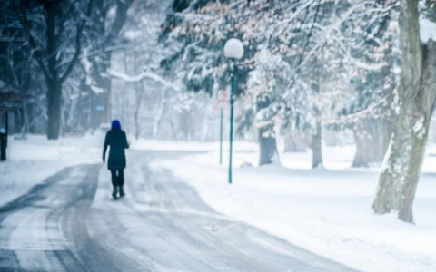 Каждого 10 находят мертвым, каждый 15 – не найден : статистика пропавших людей в Пензенской области