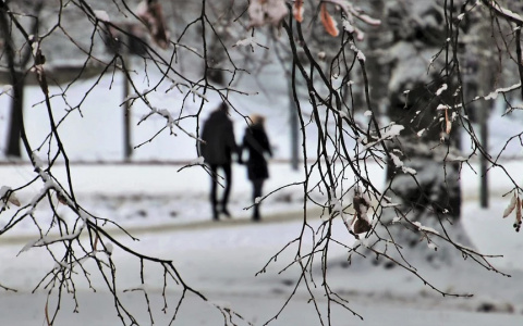 "Розовый февраль": синоптики предупреждают пензенцев об аномальной погоде