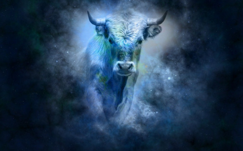 "Важный разговор у Тельцов, Львы - рискуют потерпеть неудачу": что предвещает знакам Зодиака Новолуние