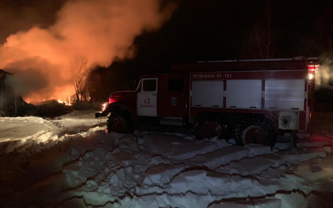В пожаре в Пензенской области сгорел мужчина