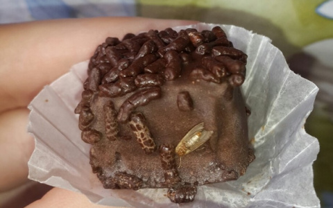 «Шоколадные червячки»: пензячка обомлела, увидев такое на конфетах
