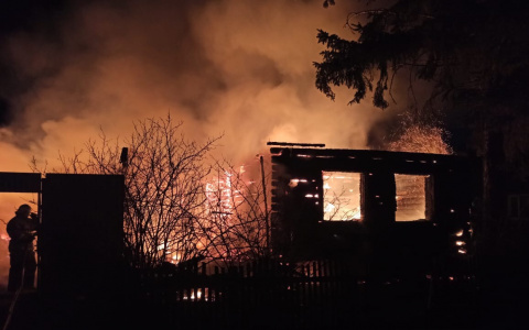 Две девочки, погибшие в страшном пожаре, были близняшками