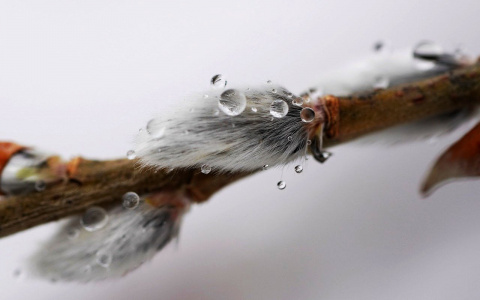 В выходные в Пензенской области резко потеплеет