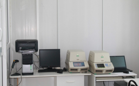 В Пензе еще в шести больницах делают тест на коронавирус