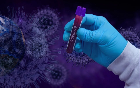 Эксперт предсказал пик коронавируса в России