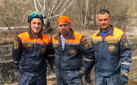 В Пензе спасатели три часа доставали собаку из канализационной ямы - видео