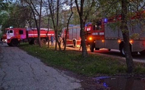 Пензенские пожарные спасли маленьких детей из огня
