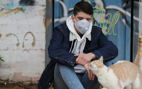 "Карта коронавируса": стало известно в каких районах Пензенской области свирепствует инфекция