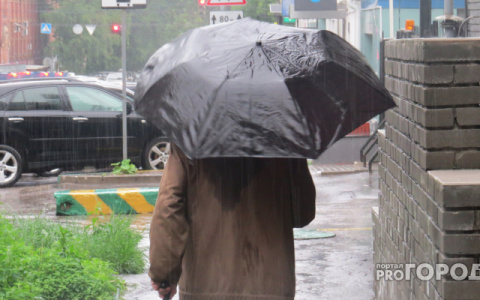 Синоптики рассказали о погоде в Пензе на 31 мая