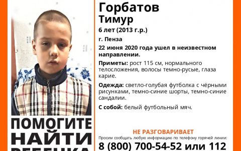 Появились новые подробности о пропавшем 6-летнем мальчике