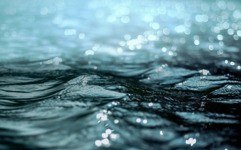 В пензенской Суре обнаружили труп мужчины