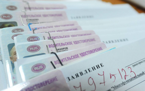 В России могут появиться водительские права нового образца