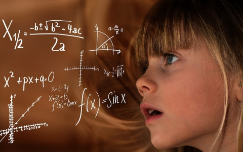 Тест: смогли бы вы сдать ЕГЭ по математике