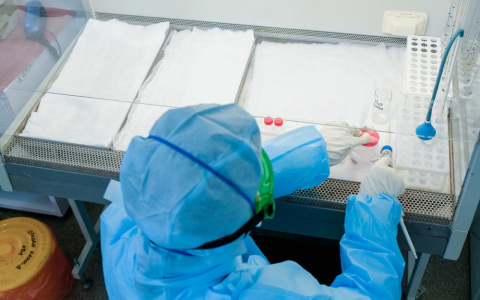 В Пензенской области резко снизилось число заболевших COVID-19