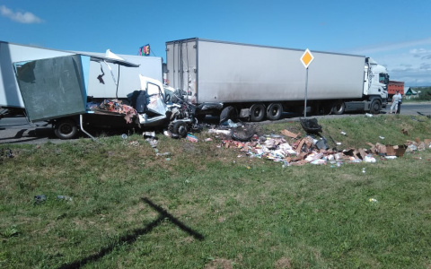 В ГИБДД рассказали подробности жуткого ДТП под Пензой, где столкнулись фура и ГАЗель
