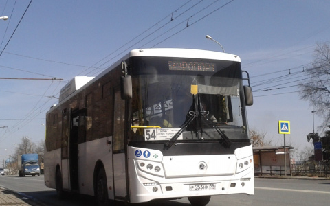 "Яндекс. Транспорт", "Ласточка": как изменится общественный транспорт в Пензе?