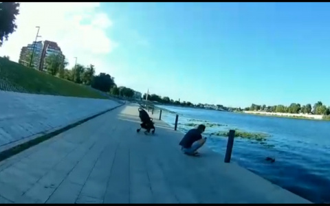 "Коляска покатилась в воду": пензенец стал свидетелем инцидента на реке