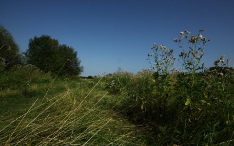 О тяжелейшем августе рассказали синоптики: причина расстроит всех россиян