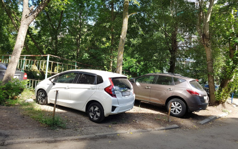 Понаехали! Пензенец возмутился автохамству на Западной поляне