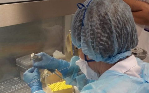 Врачи назвали тип пациентов, которых убивает коронавирус