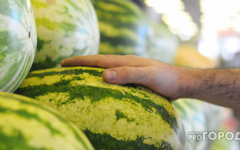 Эксперты назвали оптимальное время дня для поедания арбуза