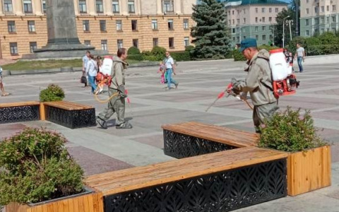 Стало известно, на какой основе сделан антисептик для обработки территорий в Пензе