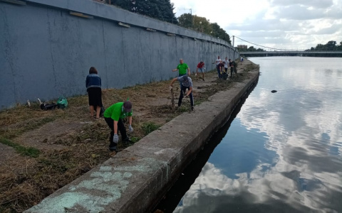 Набережную Суры очистили от зарослей кувшинок и камыша