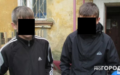 В Никольском районе два уголовника сняли золотые украшения с пенсионерки