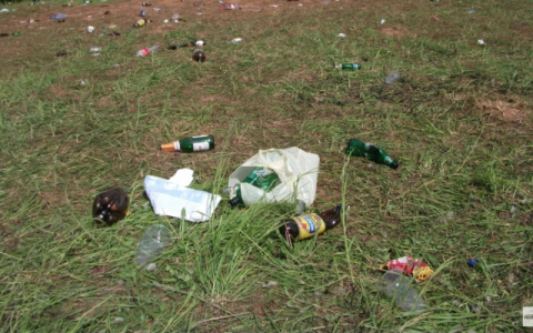 В Пензенском районе два предприятия уберут нелегальные свалки в лесу