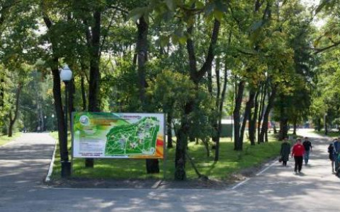 В мэрии рассказали, как воспользоваться бесплатными флаерами на День города