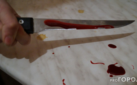 Пензенец вонзил в младшую сестру нож и пошел спать