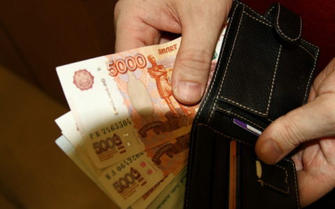 В Чемодановке нашли вора, промышлявшего кражей кошельков