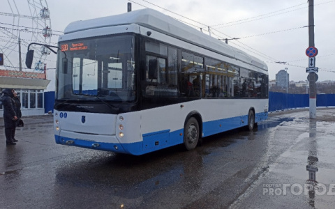 Власти Пензы нашли почти десять миллионов на решение «троллейбусного» вопроса в октябре