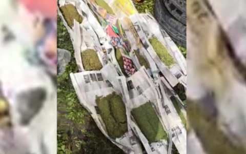 Почти два килограмма марихуаны нашли в доме у жителя Городищенского района