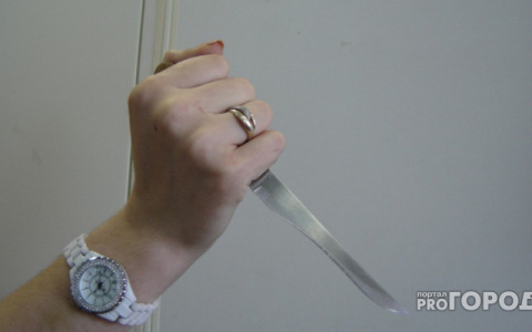 За просьбу разогреть ужин пензячка воткнула в сожителя нож