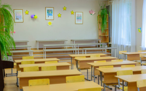 Пензенский минобр: "Семь классов закрыли на карантин"