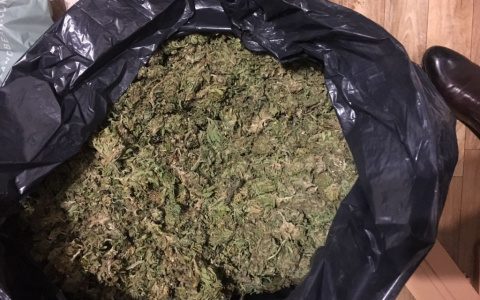 «Поливал и пропалывал»:городищенец попал под суд за выращивание конопли