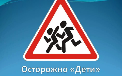 «Где безопасность?»: в Башмаково не установили по дороге в школу знак «Дети»