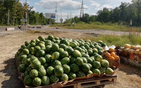 В Пензе с четырех улиц прогнали торговцев арбузами