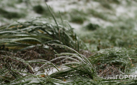«Заморозит»: с воскресенья на понедельник ударит заморозок в Пензенской области