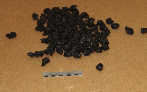 В Пензе задержали оптового закладчика и его подельников по распространению наркотиков