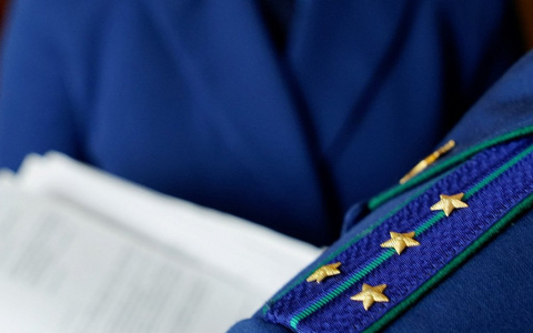 Заведующая пензенского техникума «подарила» племяннице диплом повара