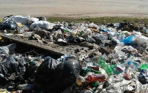 «Отобрали пробы воздуха» : Росприроднадзор взял горящую свалку в Пензе под контроль