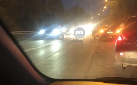 «Увезли в больницу без сознания»: на Новоселов сбили пешехода