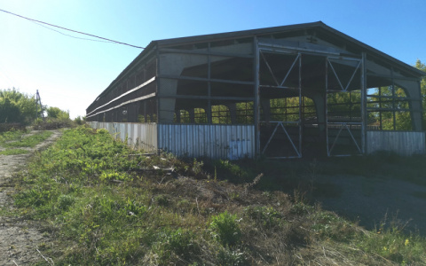 «Нашли вора по отпечаткам шин»: пензенец был уверен, что совершил идеальное преступление