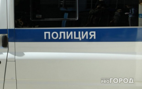 В Пензенской области отец пятерых детей выбрал криминал вместо работы