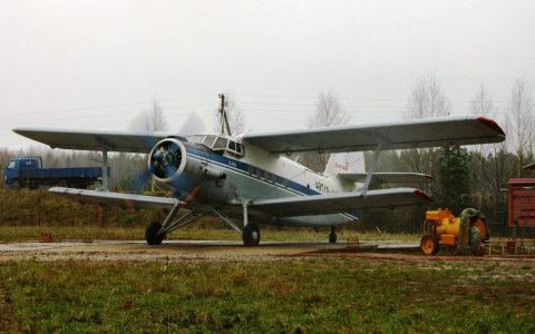 В пензенском регионе упал самолет: пилот не выжил