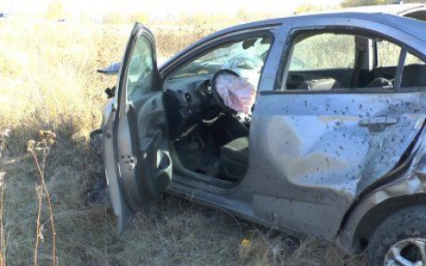 Водитель погиб на месте: в Пензенской области иномарка перевернулась в кювет
